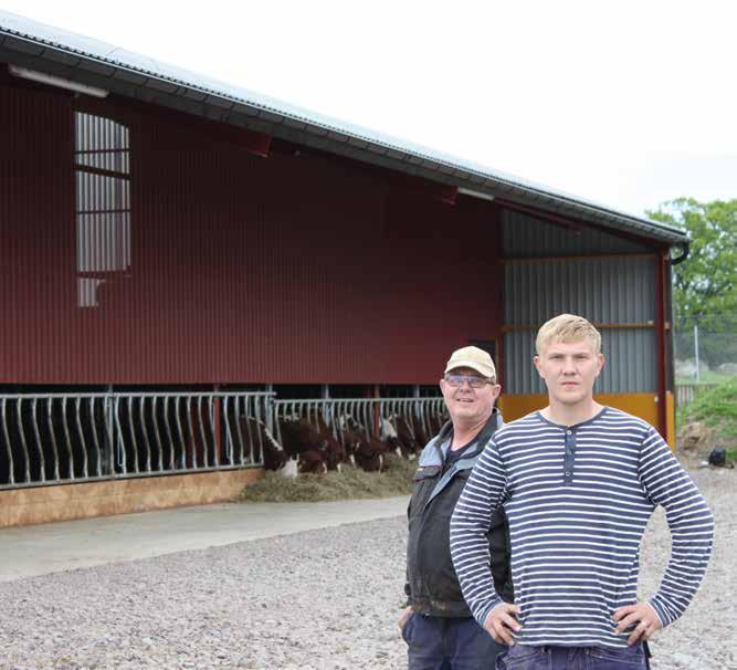 Vi valde DeLaval Kättingutgödsling AKD till det nya stallet 162 meter långt blev det nya stallet. Med alla avdelningar under samma tak har man fått en låg kostnad per koplats.