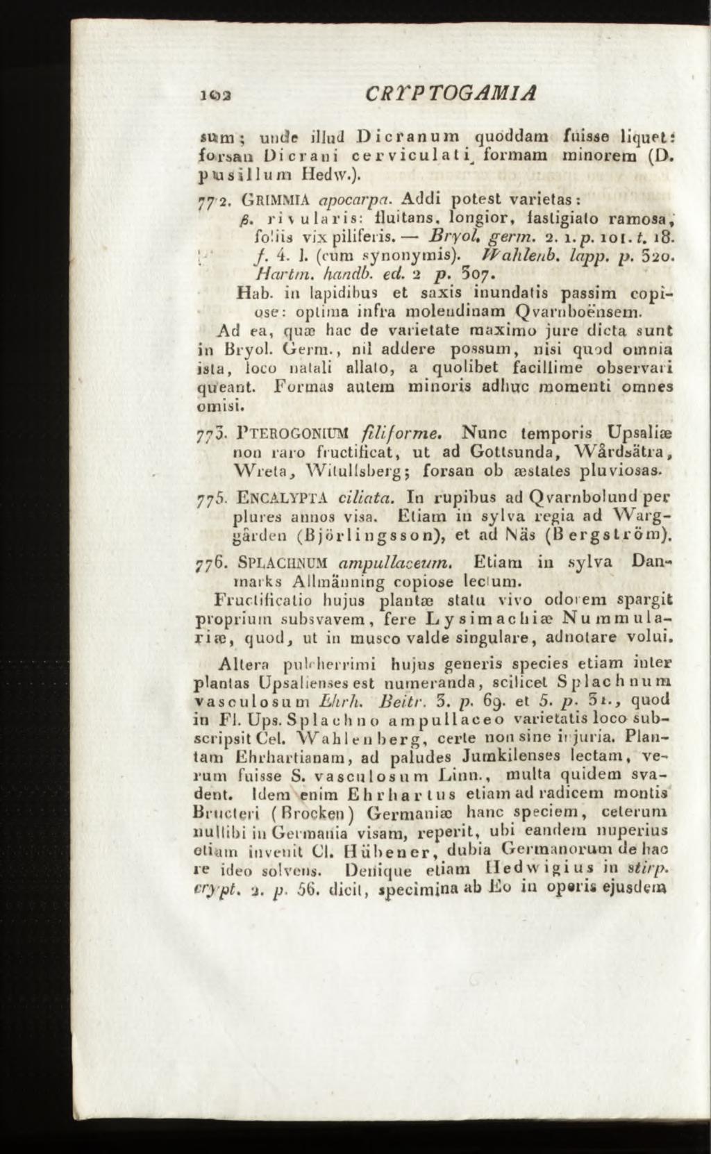 suim ; unde illud Dicranum cjuoddam fuisse liqueti forsaii Dicrani ce r vicu 1 a t i^ formam minorem (D. pusillum Hed w.). 7 7 2. GRIMMIA apocarpa. Addi p o te s t varietas: ß.