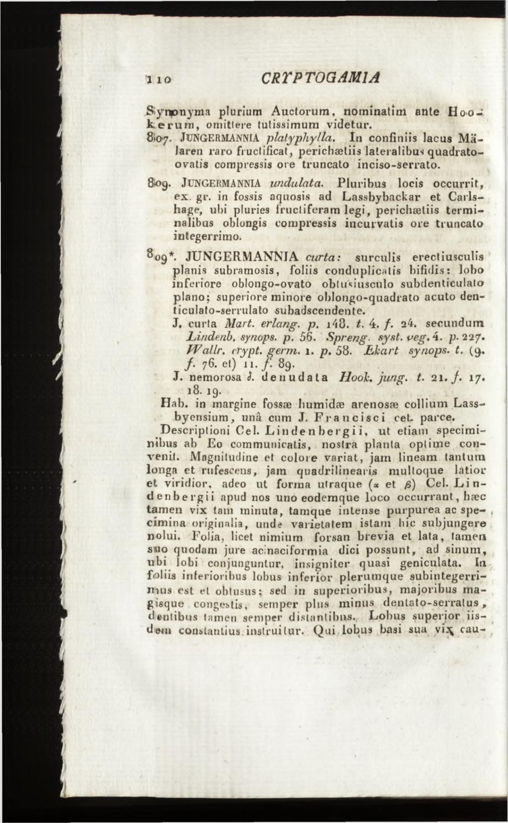 Synonyma plurlum Auctorum, nominatim ante Hooke rum, omittere tutissimum videtur. 8107. JUNGERMANNIA platypliylla.