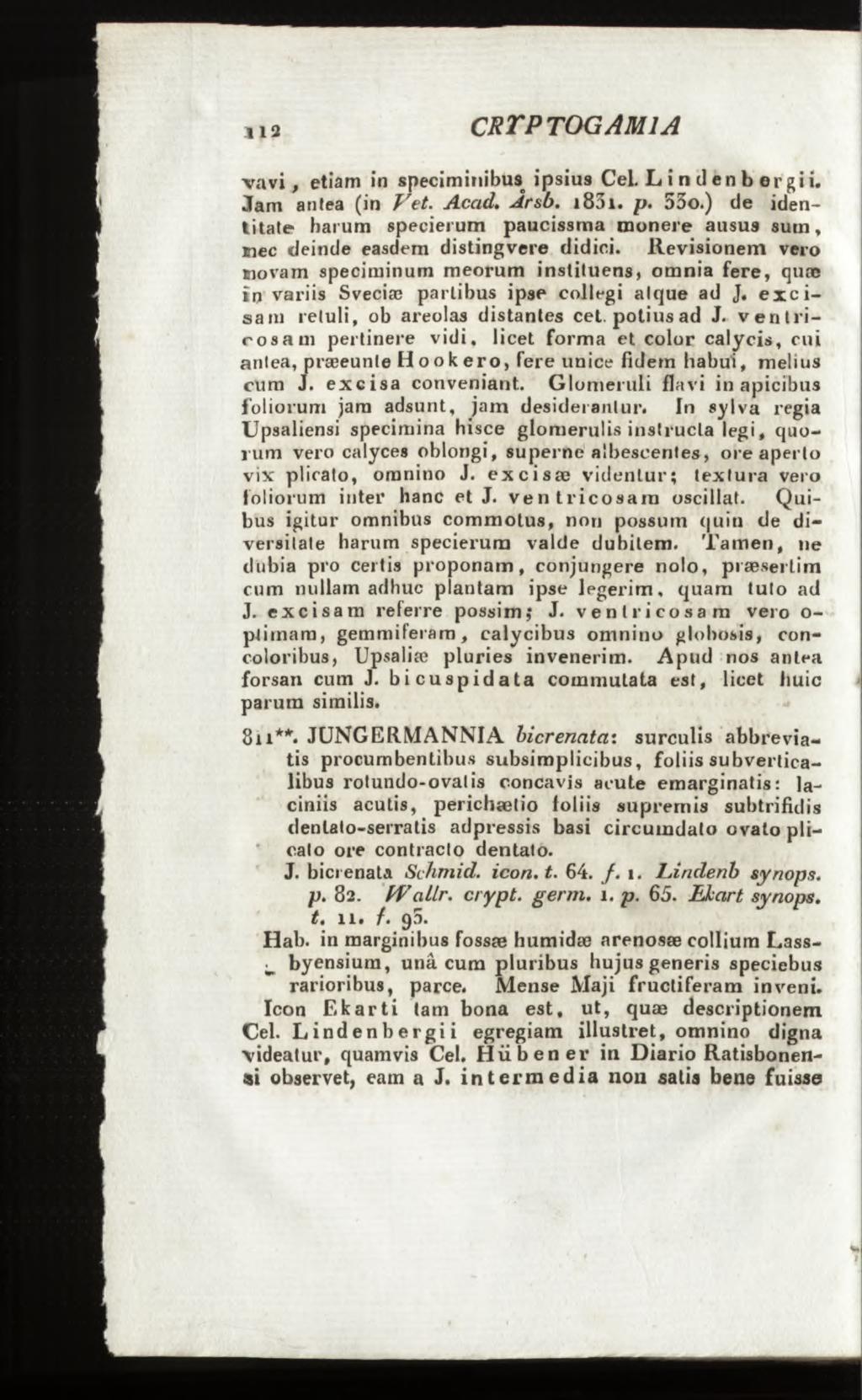 112 c r t p t o g a m ia v av i, etiam in speciminibus^ ipsius CeL L i n d en b er gii. Jam antea (in Vet. Acad. Jrsb. i 83i. p. 53o.