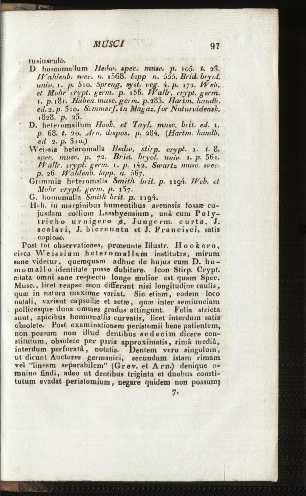 itiftiti scuto. D homoniauum Hedu». spec, musc* />. ïo5. q3. fv ahlenb. svec. n. i568. lapp n. 555. Brid. bryol uni v. i. P 5 io. Spreng. syst. veg. 4. p. 17 a. I Ve!), et M ohr crypt, germ. p. j 56.