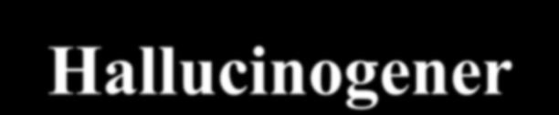 Morfin, heroin, opium Hallucinogener t ex.