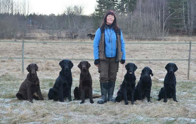 Startar på Jaktprov i alla discipliner och klasser. Tävlar i lydnad, bruks, viltspår och ställer även ut hundarna.