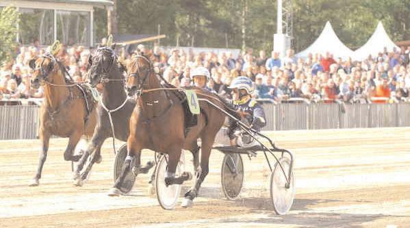 Grupplöpningar Gulddivisionen, final 1 (Grupp II, Int.) Solvalla 15 februari. Lätt bana. 590.000 kr. 2140 m. 1 Etain Royal* (FR) 13,8 300.000 12 Johansson Stig H 2 Gidde Palema 13,8 150.