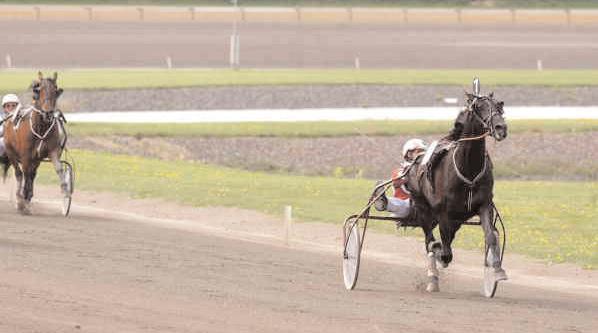 Plats: 1,10-2,13-2,06. Peterson - Broddas Minneslöpning Gulddiv Final (Gr.II Int.) Jägersro 17 maj. Lätt bana. 590.000 kr. 1609 m. 1 Egon Lavec 11,8 300.000 62 Kolgjini Lutfi 2 Digger Crown 12,3g 150.