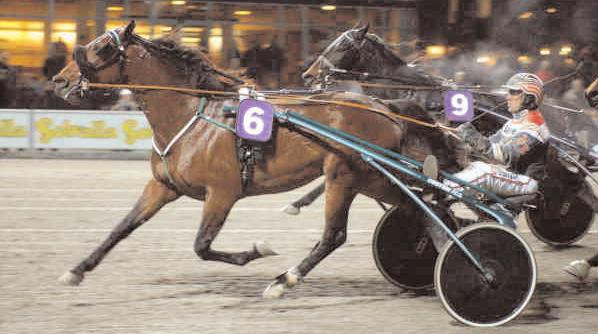 Grupplöpningar Solvalla Grand Prix - Fyraåringslopp (Gr. II Int.) Solvalla 19 november. Lätt bana. 1.000.000 kr. 2140 m. 1 Naglo 14,2 500.000 19 Kihlström Örjan 2 Smashing Victory 14,5 250.