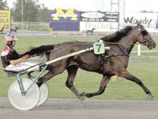 Vinstrikaste 4-åringar Vinstrikaste varmblod Tsar d Inverne vann Derbyt, men rikast blev Stefan Hultmans Naglo och det som vägde över var segern i Grand Prix de l U.E.T. som kördes i Tammerfors.