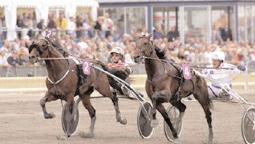 Insatslopp 4-åringar Svenskt Trav Derby (Grupp I, Nat.) Jägersro 7 september. Lätt bana. 3.200.000 kr. 2640 m. 1 Tsar d Inverne 14,4 1.600.000 45 Bergh Robert 2 Naglo 14,4 800.