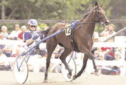 Snabbaste 5-åriga ston Snabbaste varmblod Eli Seas 1.11,3 med bilens hjälp för Rauno Pöllänen gav seger i Lady Snärts lopp under elitloppshelgen. Amatören Lennart Mossberg tränar.