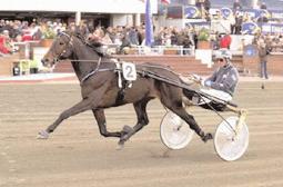 Snabbaste äldre h/v Snabbaste varmblod Digger Crown (Stig H Johansson) rundade motståndet från tillägg i ett sprinterlopp på fina 1.13,0. Svenskfödda Utlandskfödda Digger Crown (6) J 22/2 1660 *1.