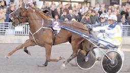 Insatslopp 3-åringar Svenskt Trav-Kriterium (Gr.I Nat.) Solvalla 5 oktober. Lätt bana. 3.200.000 kr. 2640 m. 1 Nolte 16,1 1.600.000 98 Goop Olle 2 Shaft 16,1 800.