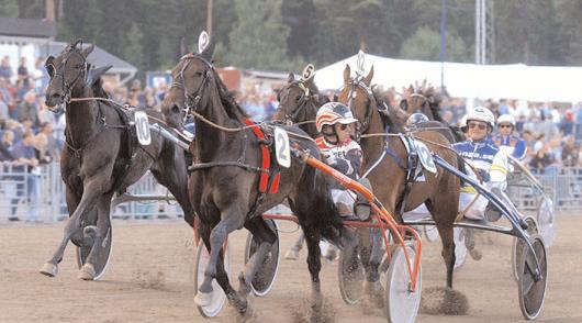 Lutfi Segrare: hingst 3 år e. Buvetier d Aunou-Jan s Hot To Trot. Ägare: Väsby Häst AB, Stockholm. Uppfödare: Kolgjini Lutfi & Svensson Anna.