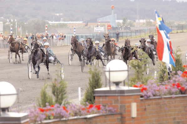 Grupplöpningar Åby Stora Pris 2003 (Grupp I, Int.) Åby 21 september. Lätt bana. 1.750.000 kr. 2140 m. 1 Gidde Palema 12,1 1.000.000 22 Svanstedt Åke 2 Couch Doctor (US) 12,4 400.