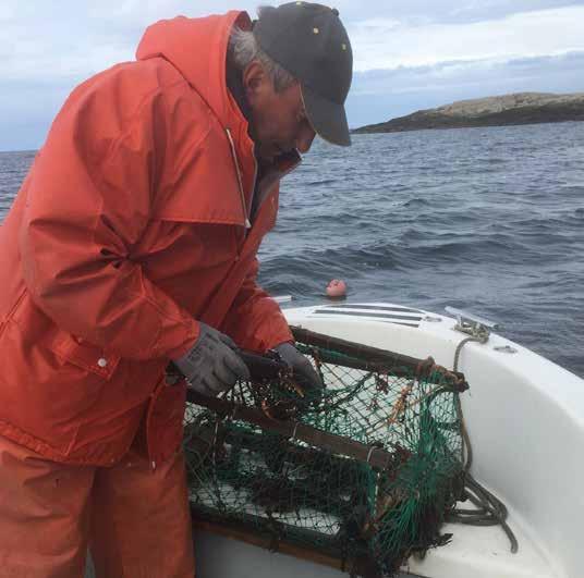 utformning (flyktöppningar). Även sumpning av hummer regleras. Hummerfisket börjar första måndagen efter 20 september kl 07:00 varje år och slutar den 31 april följande år.