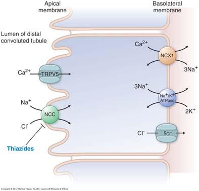 Site 3 Diuretics Thiazide and thiazide-like diuretics SAR C-7 must have an unsubstituted sulfonamide that is directly attached to the aromatic ring; -2 can be subsituted with a small alkyl group C-6