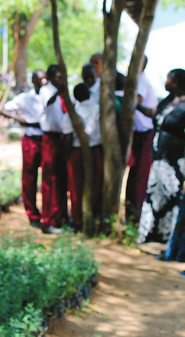 TEXT OCH FOTO: MIKKO PYHTILÄ 10 000 träd väntar på plantering i Tanzania skolelever sköter plantorna Det myllrar av liv på gårdsplanen utanför Songwa högstadium.