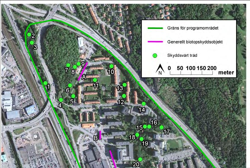 Karta 4. Generellt biotopskydd samt skyddsvärda träd i norra delen av programområdet.