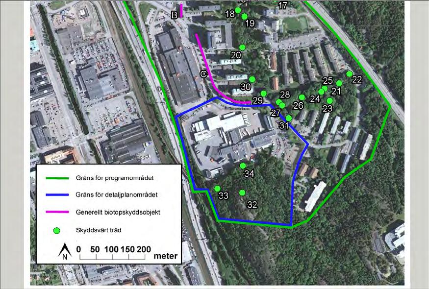 Karta 5. Generellt biotopskydd och skyddsvärda träd i södra delen av programområdet.