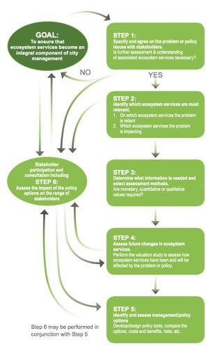 1: Specify and agree on the problem or policy issue with stakeholders 2: Identify which ecosystem services are most relevant 3: Determine what information is needed and select