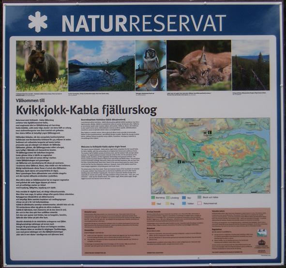 Naturmiljö Skogsmark och vatten omger vägen och närmare Kvikkjokk, bergsmassiv och vatten. Träden står helt nära vägen. Diken är med sin växtlighet en del av naturmarken.