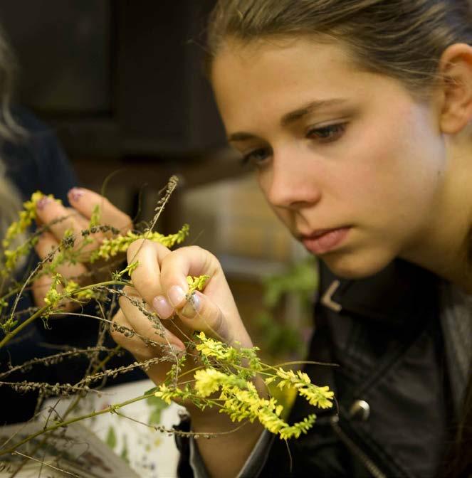 Inriktning Naturvetenskap och samhälle Den här inriktningen vänder sig till dig som vill kombinera naturvetenskapliga studier med ett samhällsintresse.