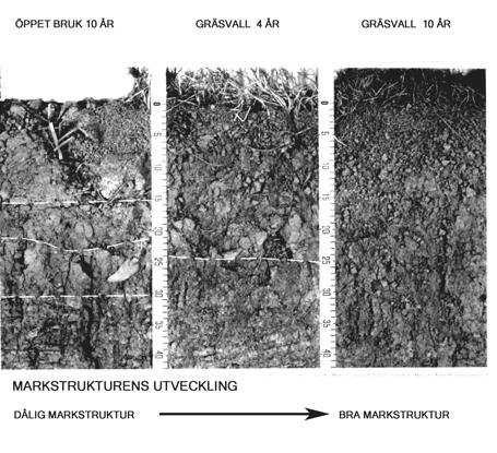 Vad är Markstrukturtest i fält? Markstrukturtest i fält är ett antal enkla fälttester som sammantaget ger en beskrivning av markens strukturtillstånd.