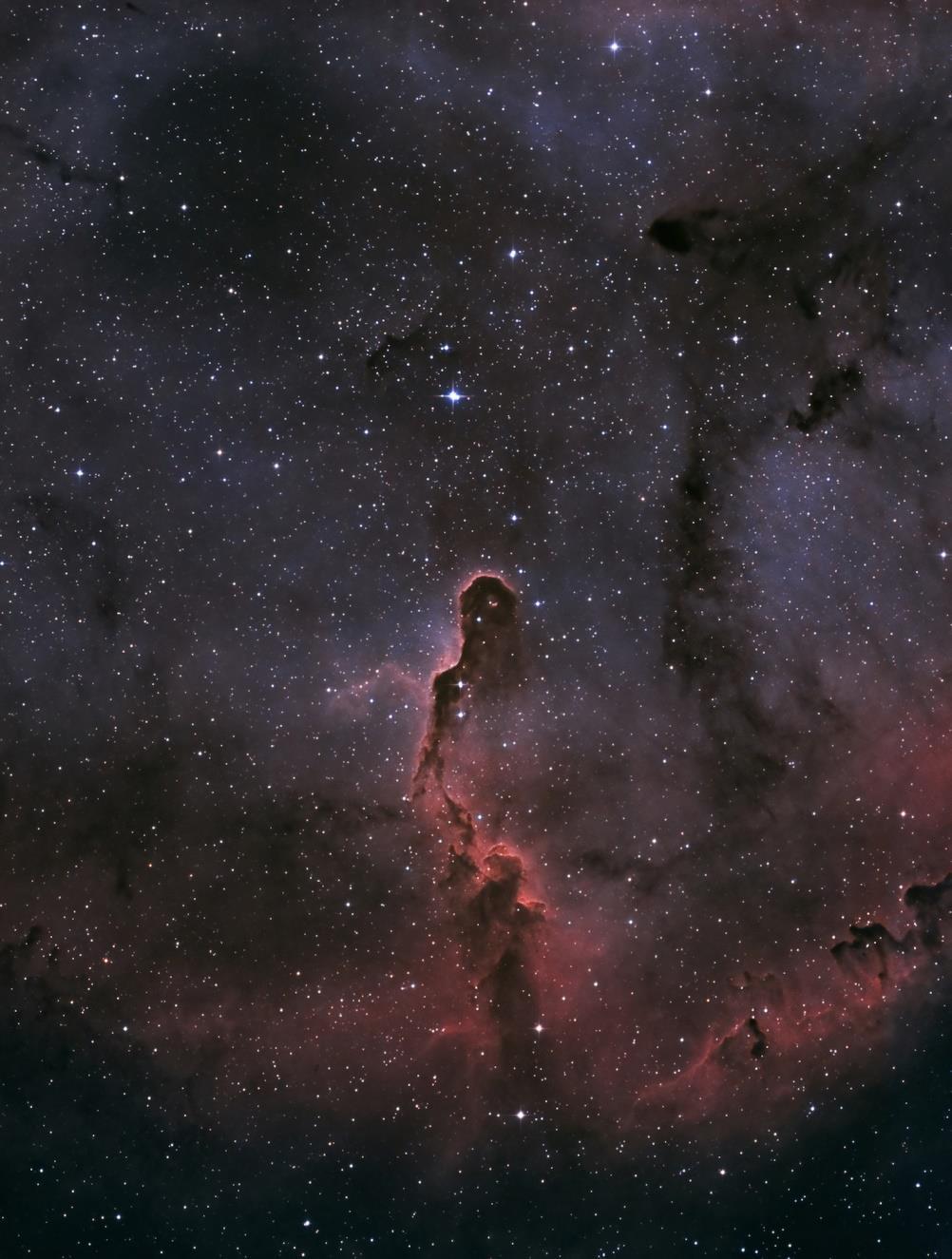 Snabelnebulosan eller IC1396 är i konstellationen Cepheus fotad genom samma filter som Gamma