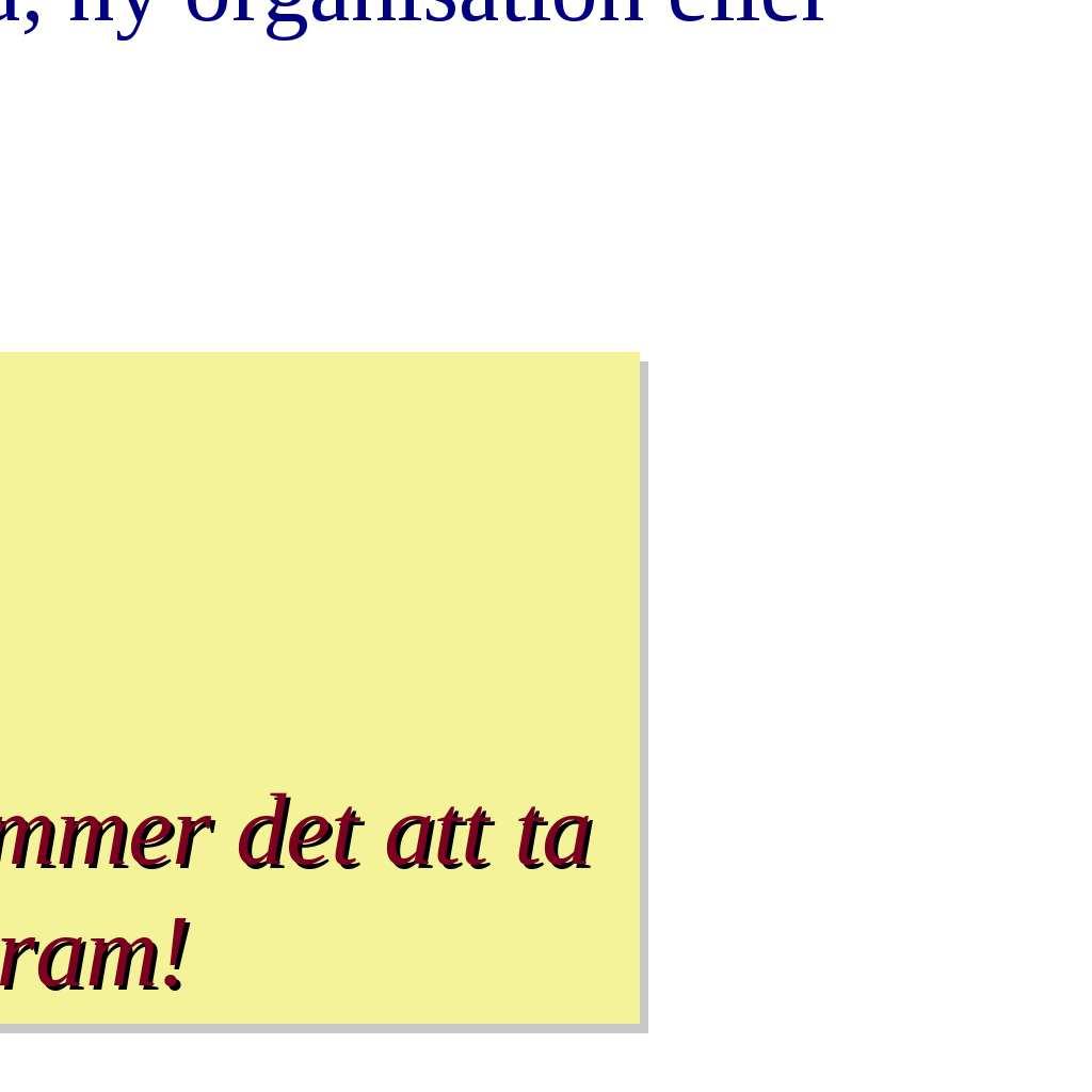 Datorer gör endast det de blir instruerade att göra - det är programmerarens ansvar att