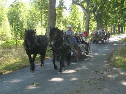 Foto Frida Larsson Remmalag i Österåkersbygd Det var trettio förväntansfulla resenärer som äntrade tre vagnar dragna av fyra hästkrafter. Lena och Göran Olsson från Bia hade ordnat allt det praktiska.