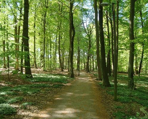 Dagsemester Stackedala Tollarp Adress: Tollarp Hemvärnsvägen Scoutstugan Stackedala Nu är det dags att anmäla sig till en naturupplevelserik semester Du är välkommen under dagtid vecka 28 måndag 9