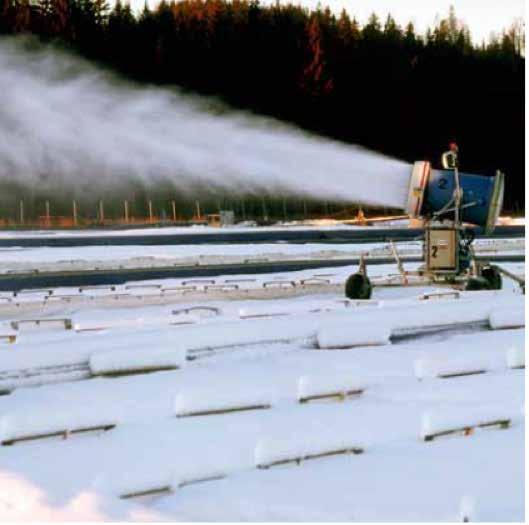 Leveranstiden är beroende av trädslag, planttyp och starttidpunkt för när plantorna började gro i växthus. 6.