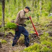 Vill du hellre plantera själv kan du beställa vår planteringsinstruktion via epost: info.skog@sca.com 11.