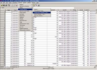 Datamatris i SPSS Skalor Nominalskala Ordinalskala Intervallskala Kvotskala