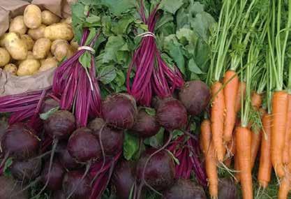 För aktuell information ring eller besök Tångagårds ekologiska grönsaker & potatis på facebook. Välkommen! Organically grown potatoes, carrots, beets, onions, cabbage and more. Shop with self-service.