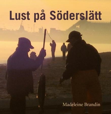Lunds Konsthalls Vänner Kalendarium våren 2018 18 januari Föredrag Att uppleva arkitektur, Madeleine Brandin 1 februari Föredrag Urban samtidskonst förnyar stadsbilden Tor Hedendahl och Daniel