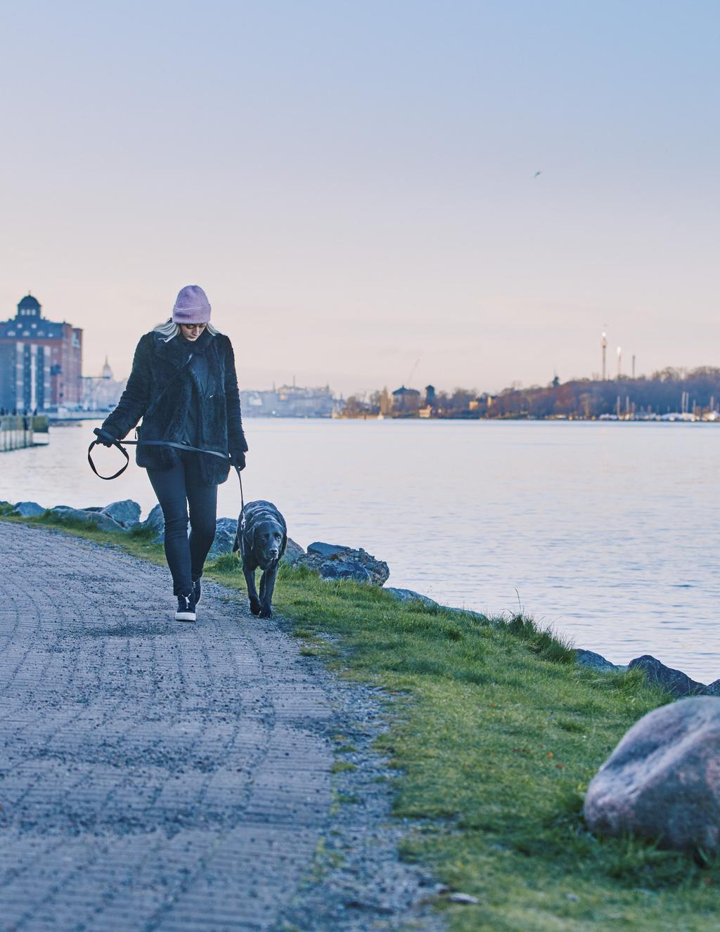 Villkor Djurförsäkring 2018 Vi kan försäkringar,