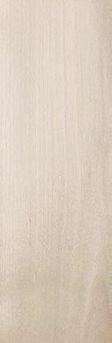 Birke F 5374 Elegant Oak Ek / Oak /