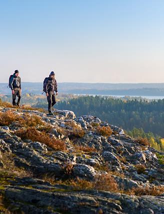 Den globala resenären i siffror Nyfikna upptäckare (30%) Vill uppleva allt