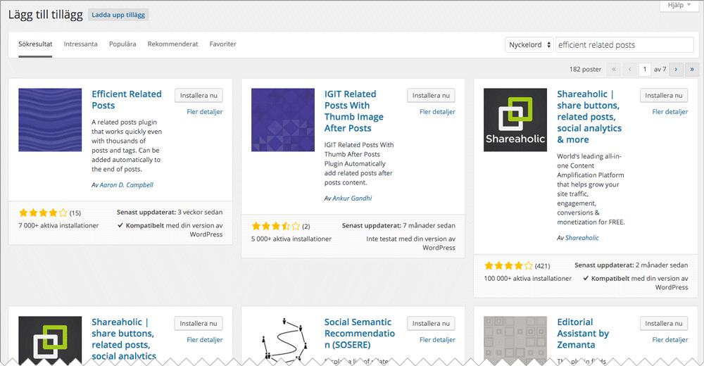 Klicka Installera nu på tillägget Efficient Related Posts.
