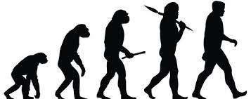 Evolutionsteorin