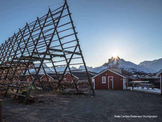 Dag 3 18 nov Forts. Klockan 23.45 anländer vi till världens nordligaste metropol Tromsö, en liten storstad vid Norra Ishavets strand.