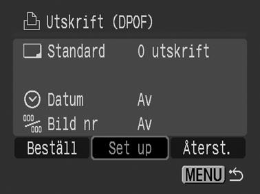 Ange utskriftsstil Ange utskriftsstil efter det att du har valt den bild som ska skrivas ut. Följande utskriftsinställningar kan väljas. Utskriftstyp Datum Bildnr.