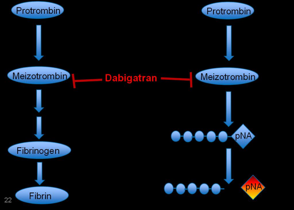 Ecarin Clotting Time (ECT)