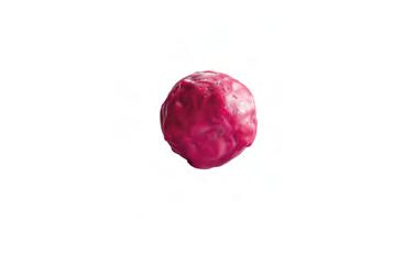 Konditoripraliner / Petit-Fours Kakaohalt; i mörk choklad min. 54%, i mjölkchoklad min. 32%, och i vit choklad kakosmör min. 28%. Art. nr.
