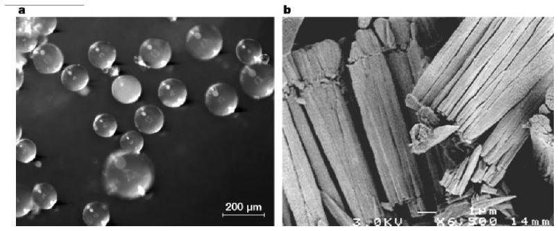 som består av en blandning av Biomimetik: tillverkning av material med processer som hydroxyapatit (ung.