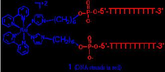 DNA som byggsten DNA som byggsten T.ex.