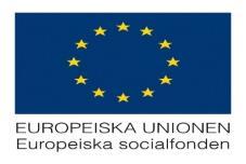 Jordbruksverket 2017-12-21 6(10) EU-skylt Under genomförandet av regionalfondsprojekt ska stödmottagaren alltid sätta upp en skylt i A3-format om stödet är högst 4 776 250 kronor eller om stödet är