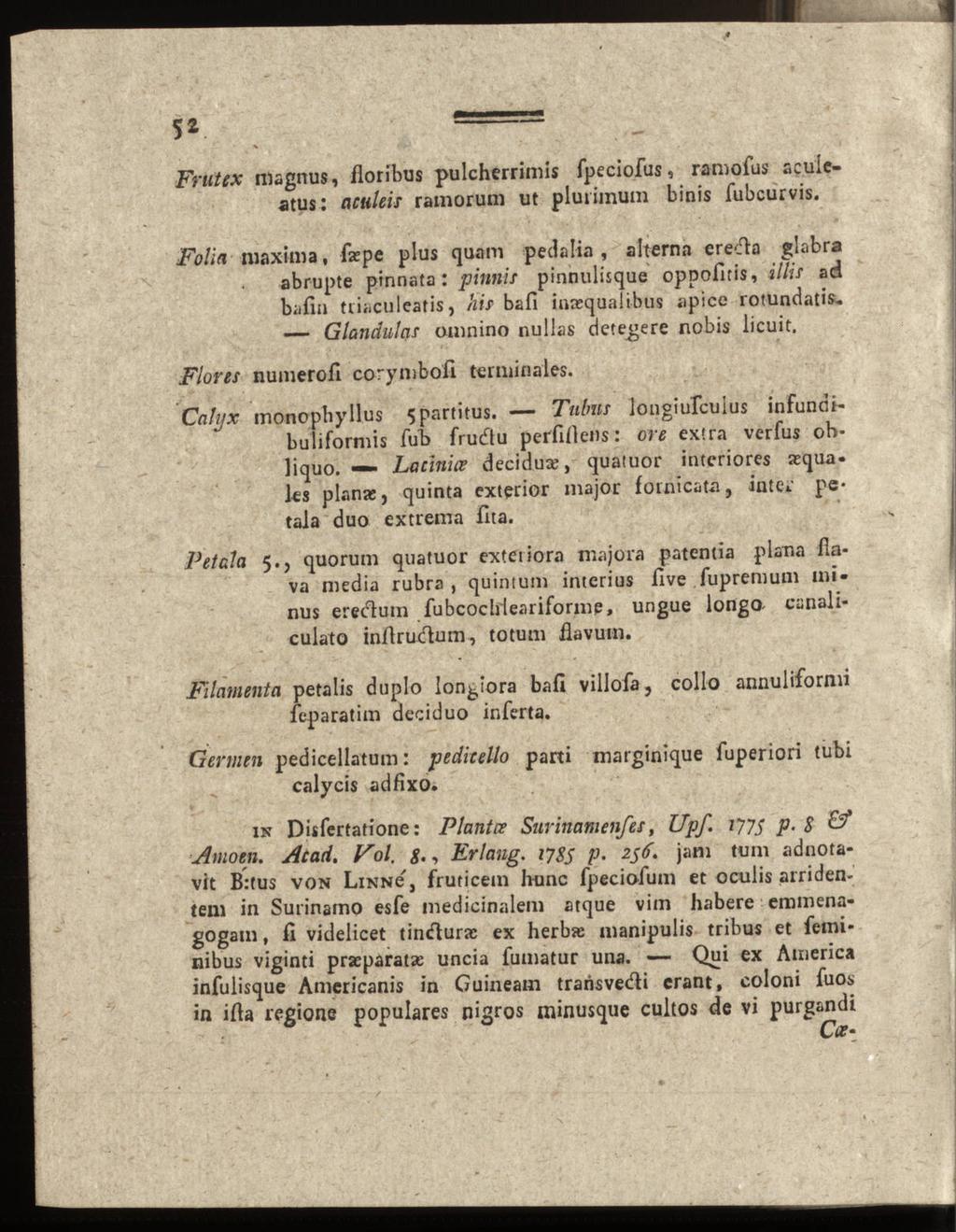 Glandulas 5* Frutex magnus, floribus pulcherrimis fpeciofus, ramofus acuicatus: aculeis ramorum ut plurimum binis fubcurvis.