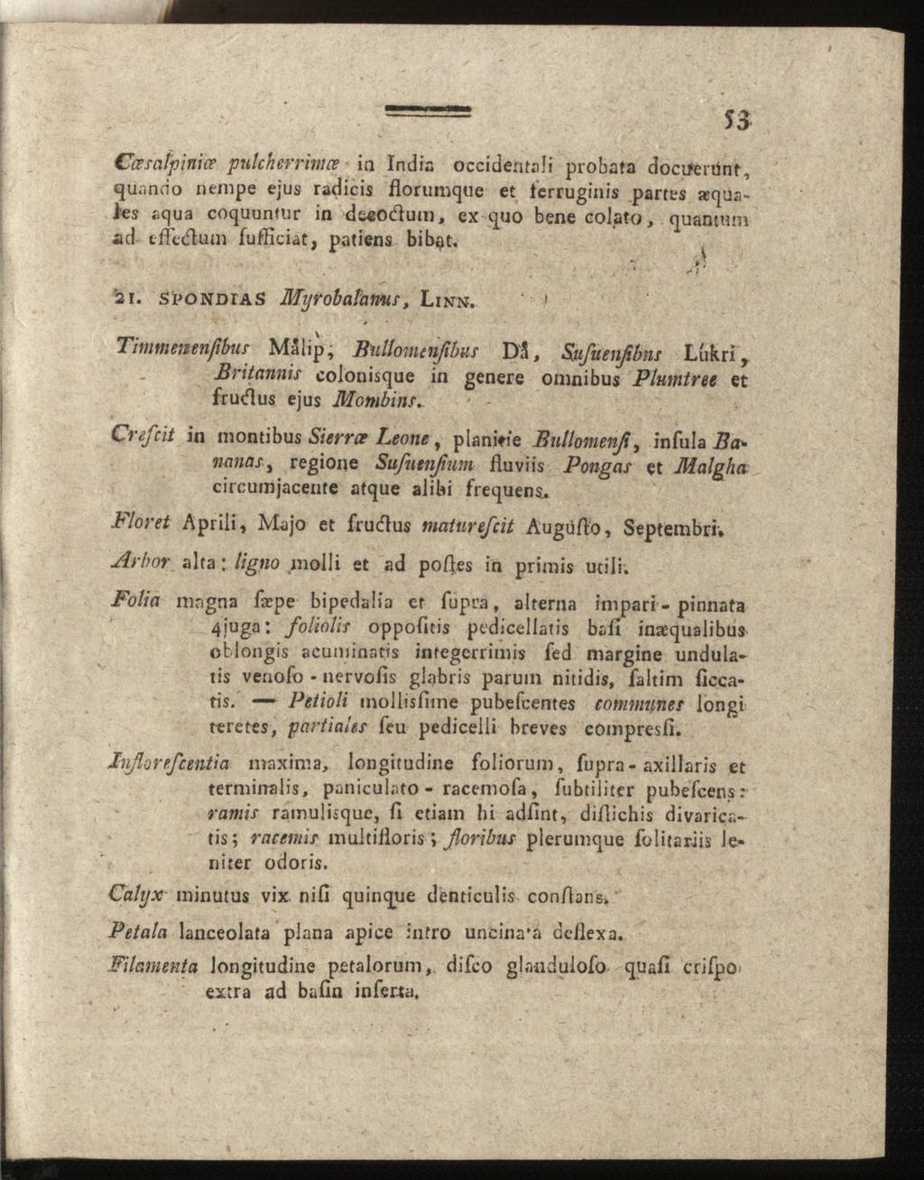 Ccesatpinice pulcherrimce ia India occidentaü probafa docuertint, quanno nempe ejus radicis flotumque et terruginis partes äqua les aqua coquunfur in dseodum, ex quo bene eolato, quantum ad tffedum