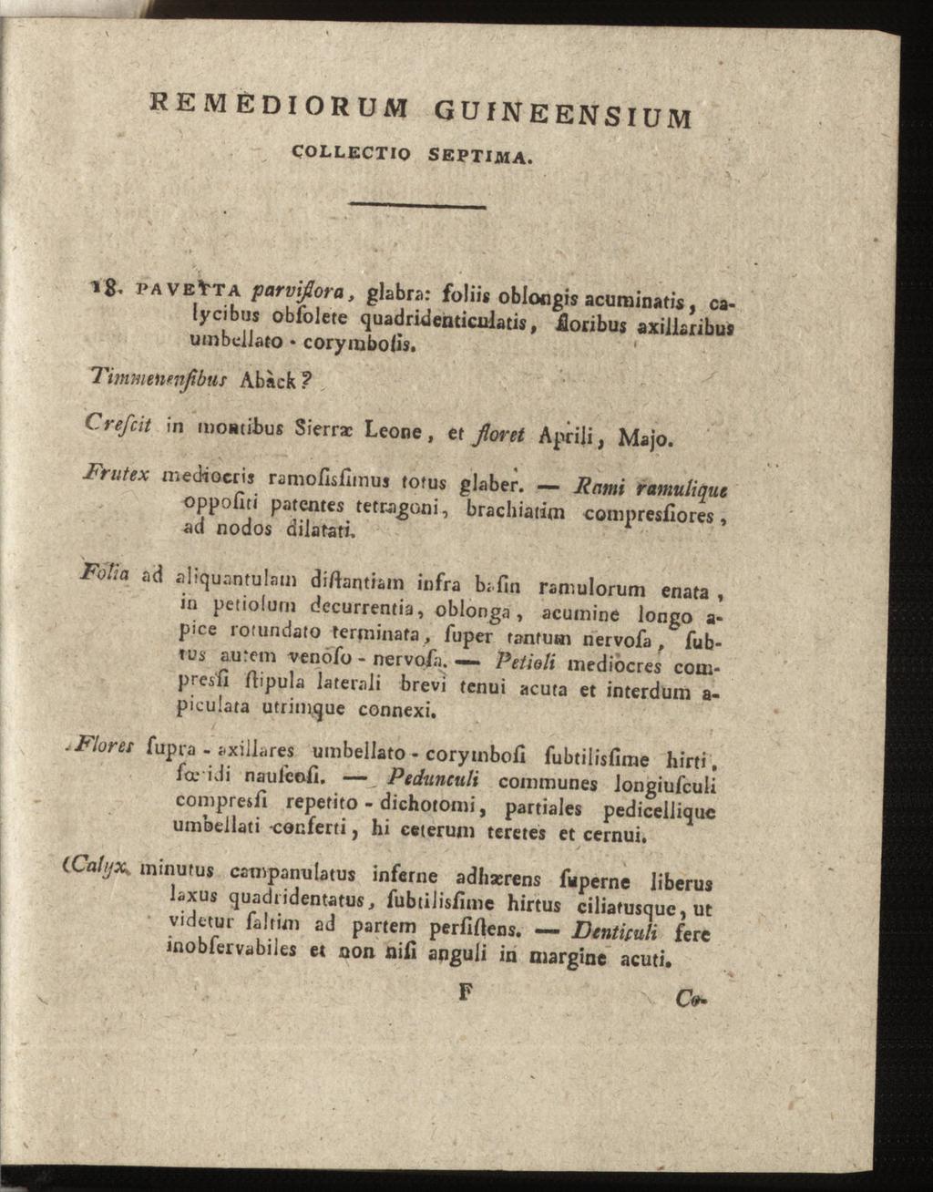 REMEDIORUM GU IN E ENS IUM collectio septima. v$, pavevta parviflora, glabra: foliis oblotigis acuminatis, calycibus obfolete quadridenticulatis, üoribus axillaribus umbcjjato coryinbolis.